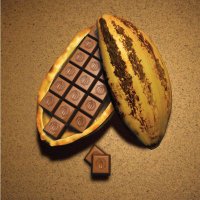 Rizek Cacao, S.A.S. (@rizekcacao) 's Twitter Profile