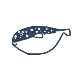 みのやさんのプロフィール画像