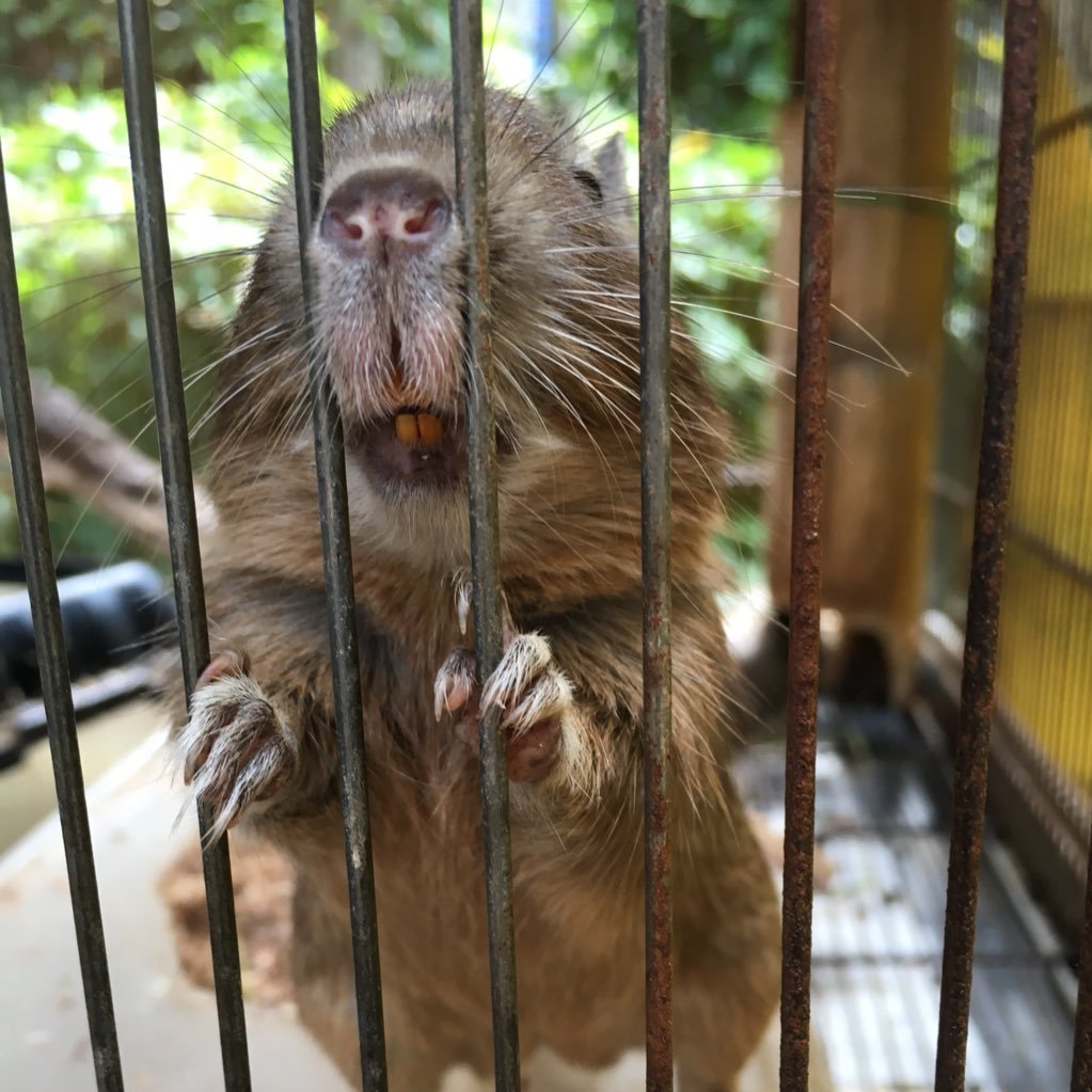 Sylar_otsu's profile picture. 音楽休止中。だいたい仕事。 福岡出身 / ドラム / 74&Crimson /HORIZON ON SUN