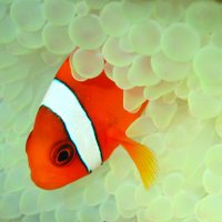 😎😎😎😎😎😎😎😎😎😙 (@umizuki1006) 's Twitter Profile