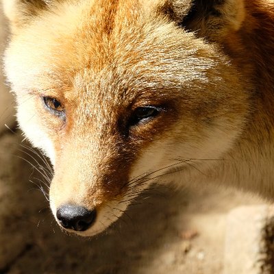 ぺら バキ 16話ッ 鎬昂昇 Vsドイル 鍛え上げた生身の刃物vs仕込んだ刃物は燃えます でもやっぱり迂闊に見えちゃうんだなぁ 花山に一歩も退かない梢江 最愛 の強さがわかる名シーンでした バキアニメ ぺら バキ 16話ッ 鎬昂昇 Vsドイル 鍛え上げた生身の刃物vs仕込んだ刃物は燃えます でもやっぱり迂闊に見えちゃうんだなぁ 花山に一歩も退かない梢江 最愛 の強さがわかる名シーンでした バキアニメ