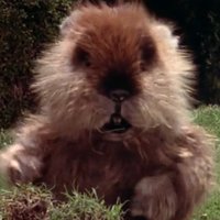 Gopher (@bushwood__cc) 's Twitter Profile