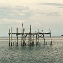 Danielle Lively - @lively_danielle - Twitter