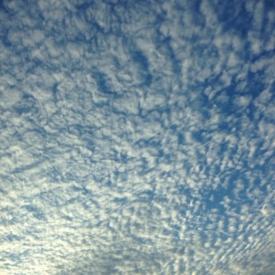 ceciliebennet's profile picture. 