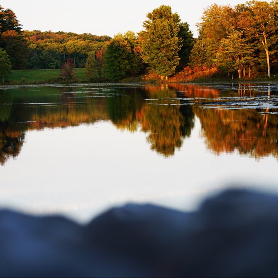 niharp27's profile picture. Crestwood ’20