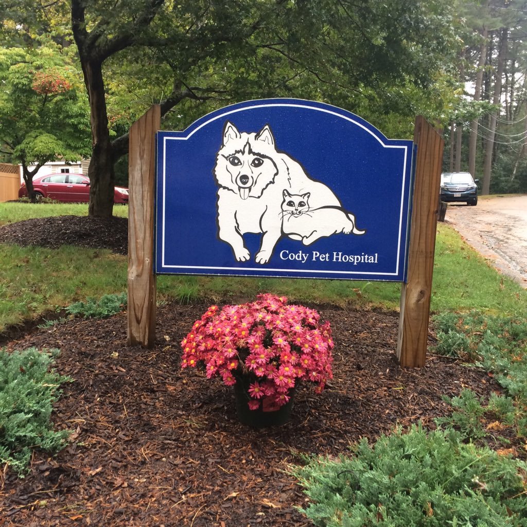 Pet Hospital in Norfolk MA veterinary services for cats, dogs, and small creatures. surgery, medicine, dentistry wellness exams 7 staff, 23 yrs