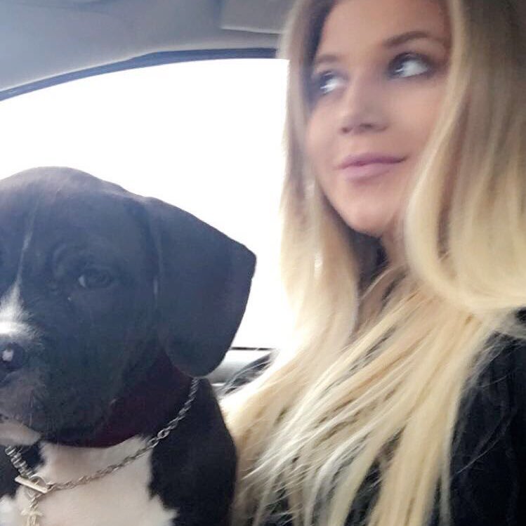 shannonkmccabe's profile picture. 