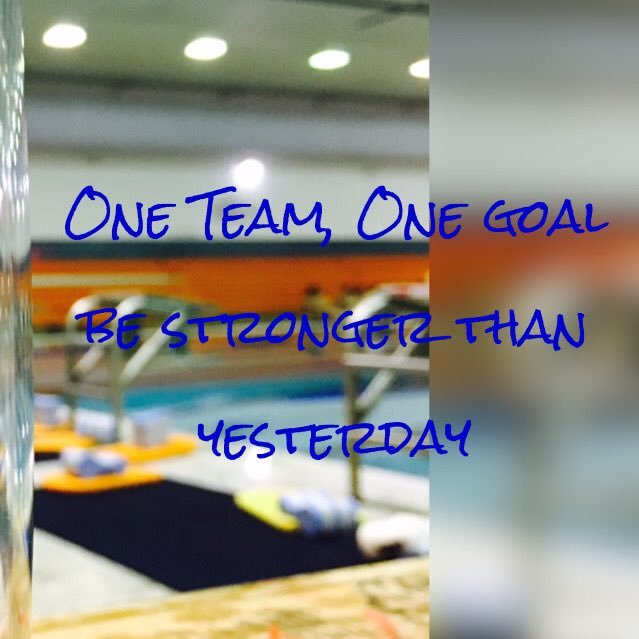 NmhsChargerSwim's profile picture. The place to gather info about the NMHS swim teams