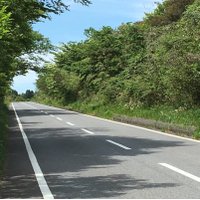 習志野氏🏝 (@narashino_shi) 's Twitter Profile Photo