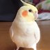 @kousign