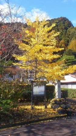 お寺に対して敷居が高いように思われがちですが、気軽に御相談ください。