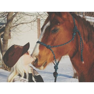 Horsewoman of many years, Horse YouTuber since 2009🐴
Go Subscribe! 👇