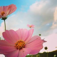 minamimi (@tsu_yu48m) 's Twitter Profile