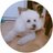 Pedrojmartinez's profile image