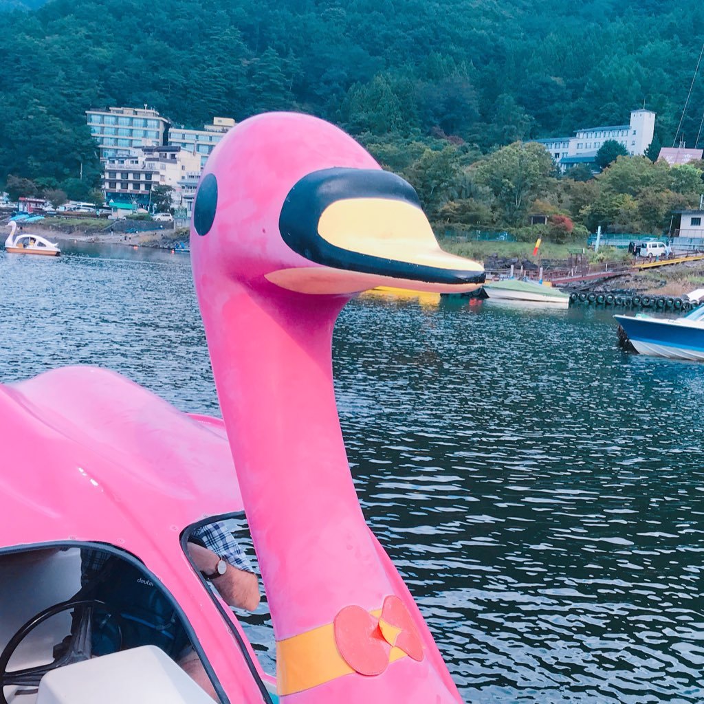 yelobb429's profile picture. 잡다하게 이것저것 꿍쳐놓는다.