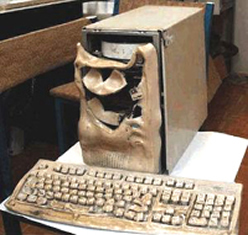 Schuchwun's profile picture. UltraNerd