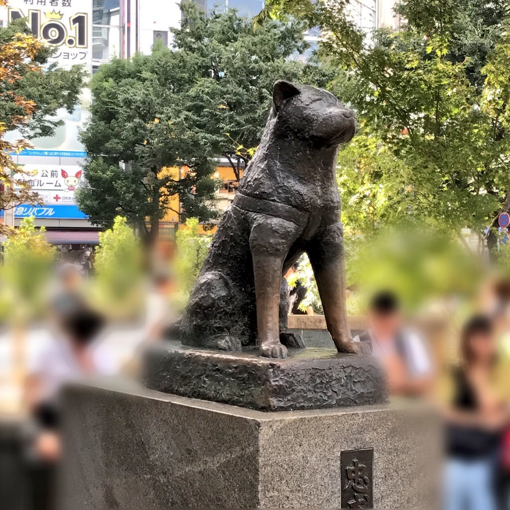 yokocyc's profile picture. サイクリング好きです。