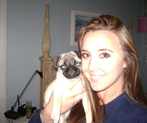 araed2's profile picture. 