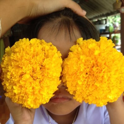 ตลก ภาพยนตร์ อาหาร ความบันเทิง