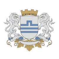 Glavni grad Podgorica (@gradpg) 's Twitter Profile