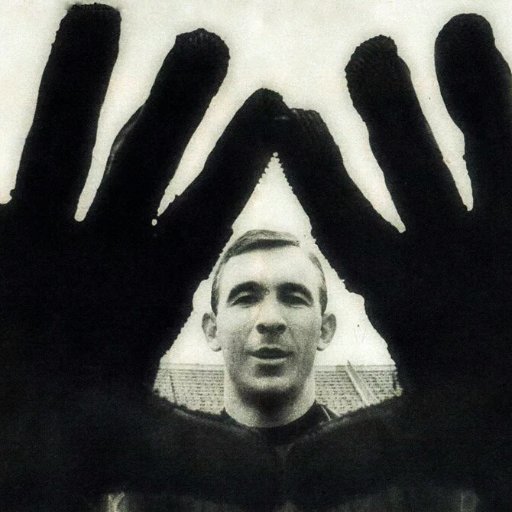 DR927550's profile picture. Le Club des Cinq