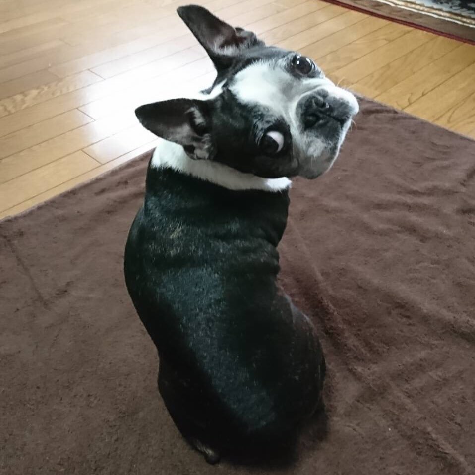 eri__1210's profile picture. 