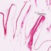 PicdesignArt (@picdesignart) Twitter profile photo PicdesignArt (@picdesignart) Twitter profile photo