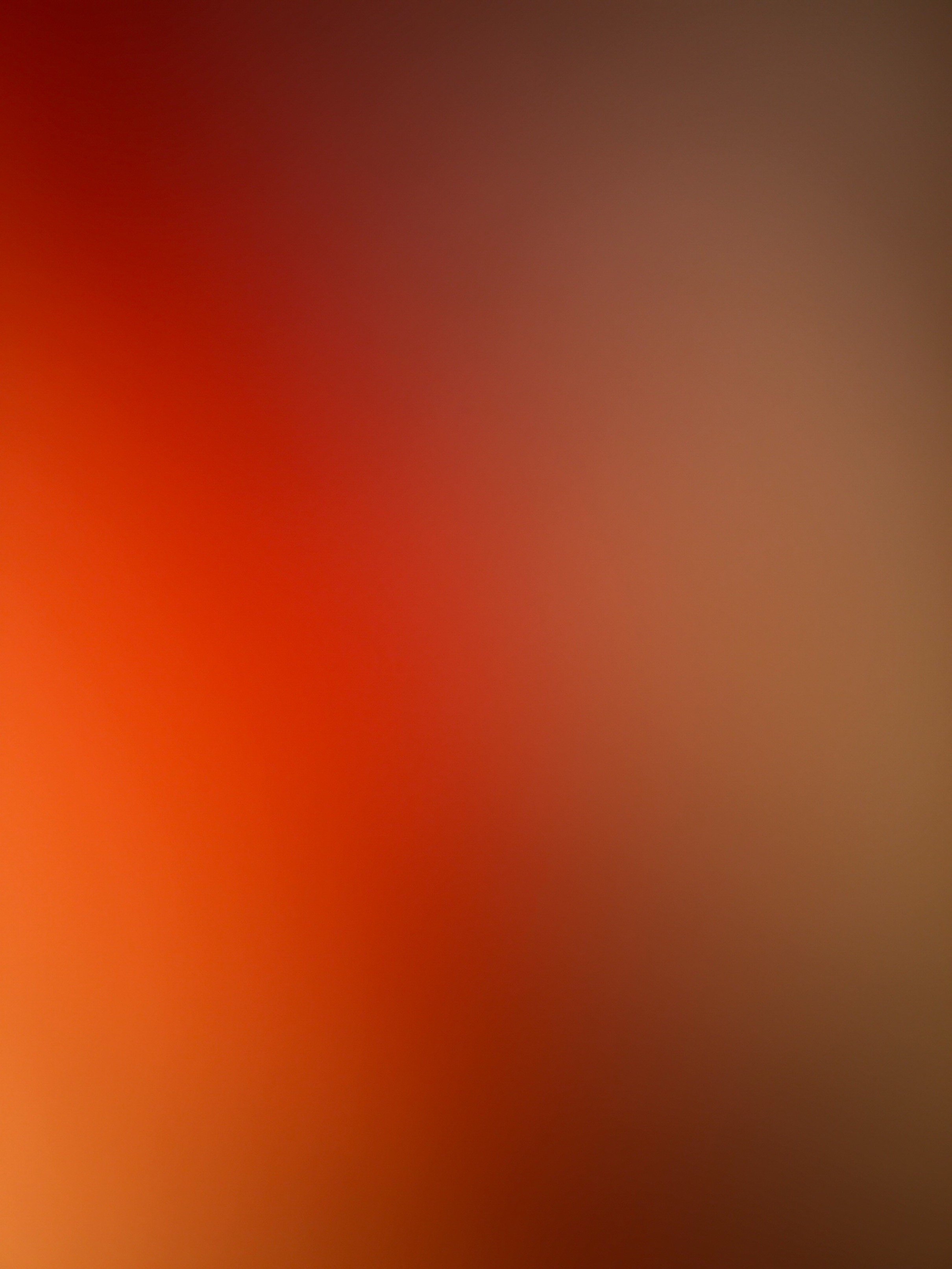 ___________qo's profile picture. 