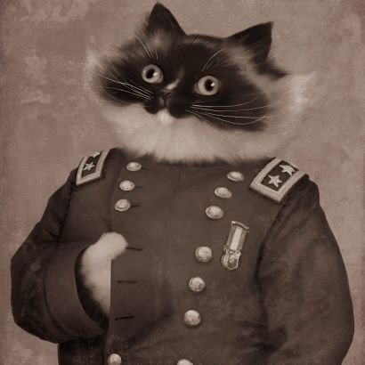 Nightcat (@nightcat32000) | Twitter