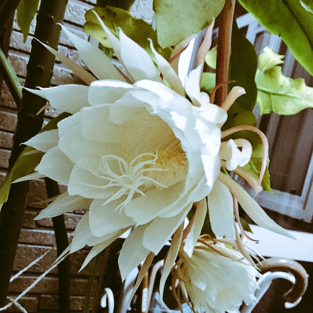 1_am_a1ien's profile picture. 