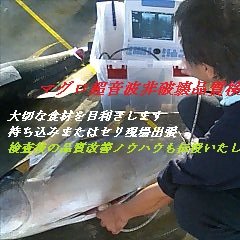 沖縄糸満沖30km深海1400m海洋深層水調合液トンネルフォトン水60dbを使った水の機能研究を行っています。技術提供と製品小分け販売を行っています。医療技術を応用した目利き品質維持管理希少貝類夜光貝の素材パーツや螺鈿細工シェルアートを厳選して直送:第35類役務ShuzouArakaki商標登録サポート