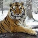 Elijah Roman - @Elijah888 - Twitter