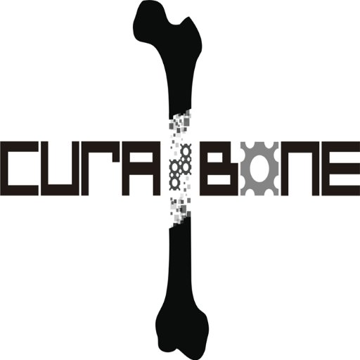 CuraBone - Innovative Training Network