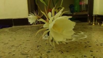 mathi1979's profile picture. 