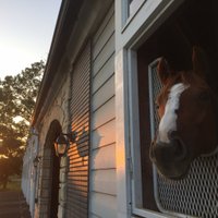 Tomorrow Farm (@tomorrow_farm) Twitter profile photo