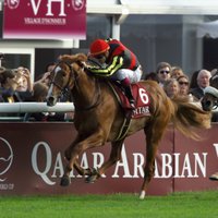 ミッドナイト (@keibakaede) Twitter profile photo