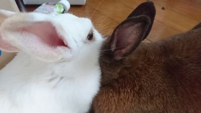 雨漏り０('､3_ヽ)_もへつきた…さんのプロフィール画像