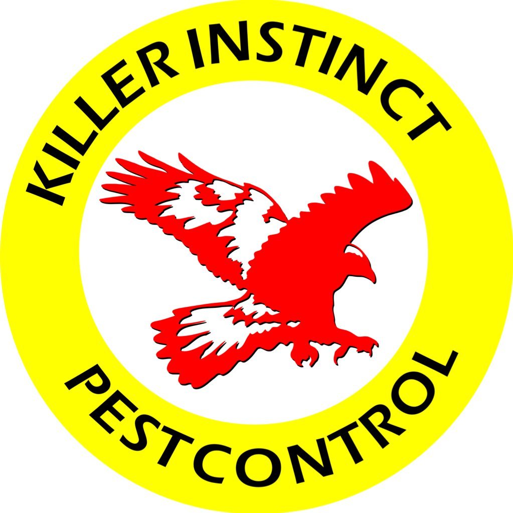 Killer Instinct believe you deserve a friendly, personal service. We provide high quality professional, preventative and reactive pest control services.