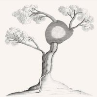 Botanist Broadgate (@botanistec2) 's Twitter Profile Photo Botanist Broadgate (@botanistec2) 's Twitter Profile Photo