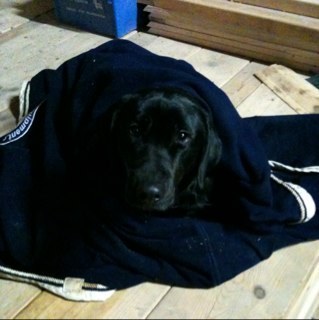 Edutts's profile picture. 