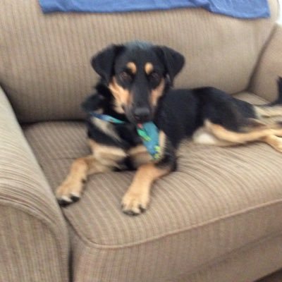 Lincoln_W8's profile picture. LEEEEEEEEEEEEEEEEEEEEL