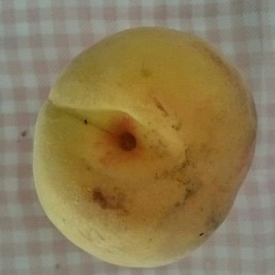 raf191's profile picture. 