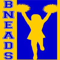 bneads's profile picture. A simple to use, free website platform to buy & sell with your surrounding community.  Brisbane based. since 2010.  Using twitter to connect its users anywhere