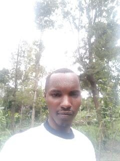 life is about fixing your self to a reachable point, if not comfortable dream, work hard, dedicate yourself to improve it and almighty will never let me down