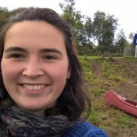 Doris Wendt (@dorisewendt) 's Twitter Profile