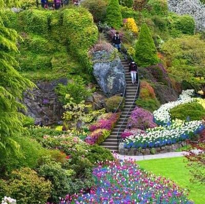 AnimbomI's profile picture. Am real and I love things and people to be real the way they are!!!