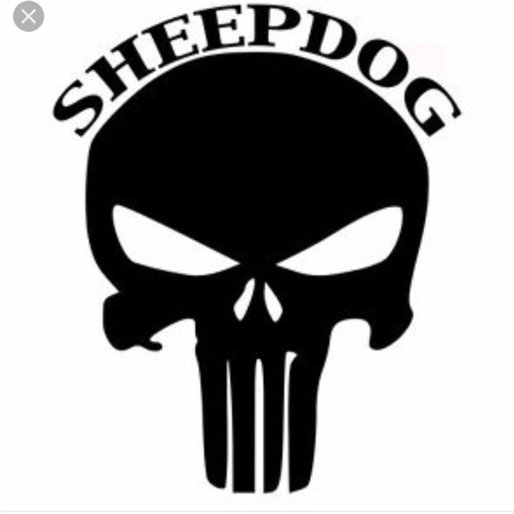 Father husband legal immigrant #NRA certified instructor #2A #MAGA followed by @charliekirk11 @AmyMek @cvpayne @AdamMilstein @ScottPresler @RyanAFournier🇮🇲