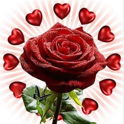cansugumus09's profile picture. 