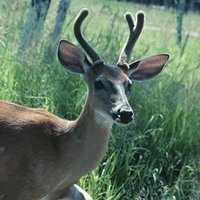 Spike Library (@spikelibrary) 's Twitter Profile Photo