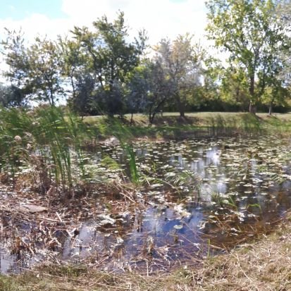 Environmental stewardship program and a GECDSB-BASF partnership that provides unique, inquiry-based learning opportunities for our students on Fighting Island.